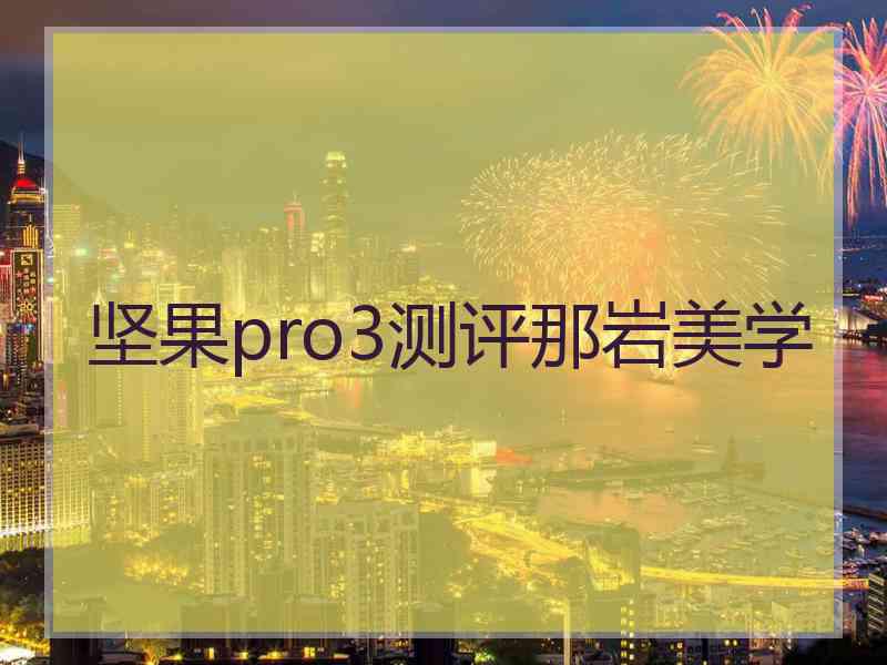 坚果pro3测评那岩美学