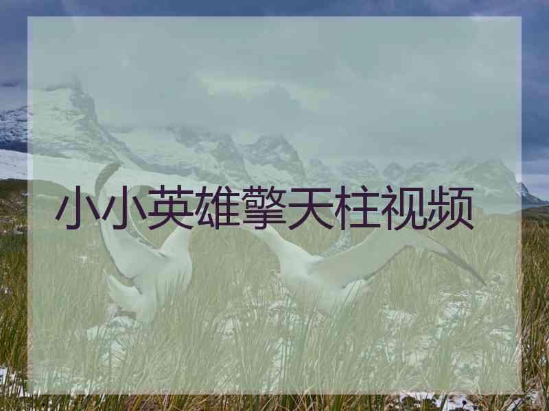 小小英雄擎天柱视频