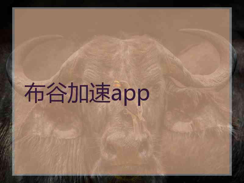 布谷加速app