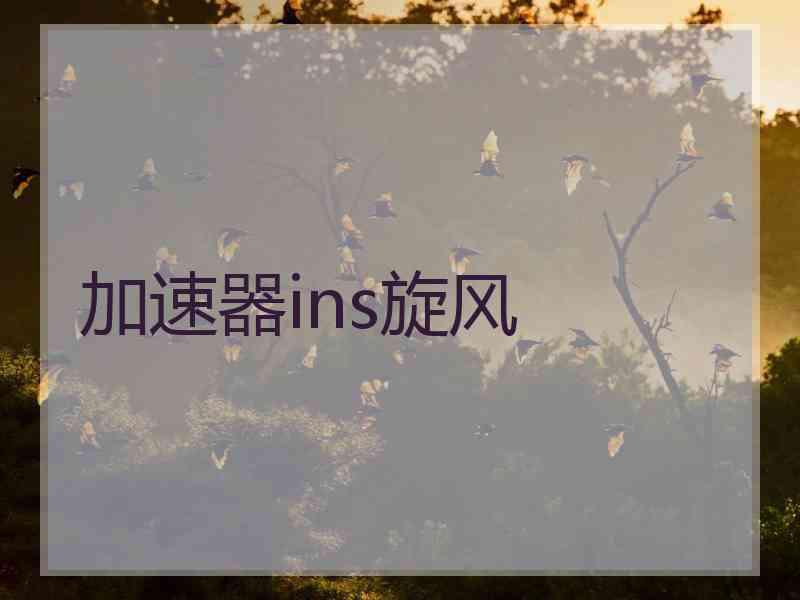 加速器ins旋风