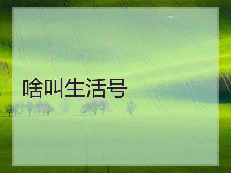 啥叫生活号