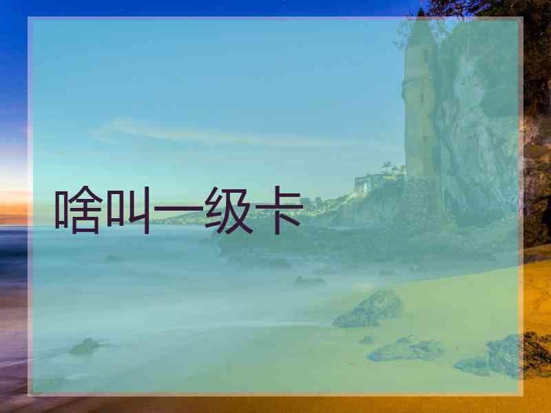 啥叫一级卡