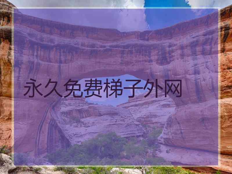 永久免费梯子外网