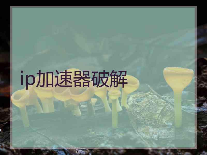 ip加速器破解
