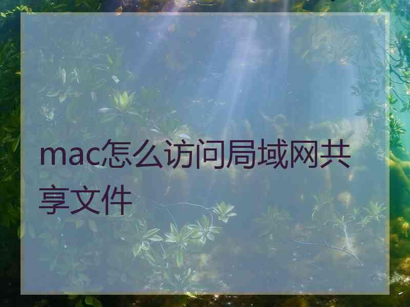 mac怎么访问局域网共享文件