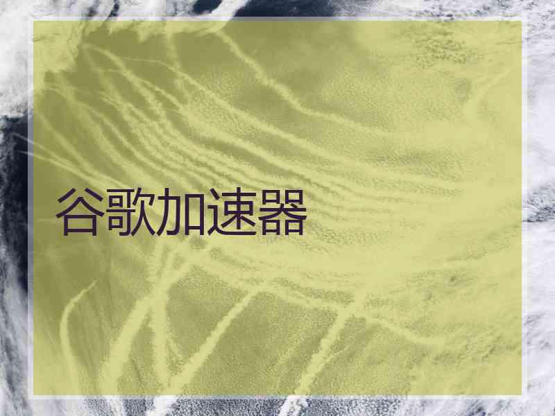 谷歌加速器