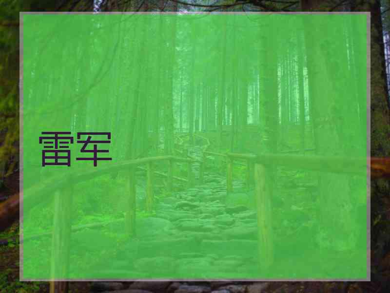 雷军