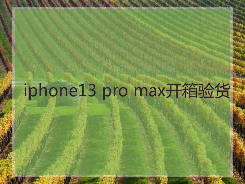 iphone13 pro max开箱验货
