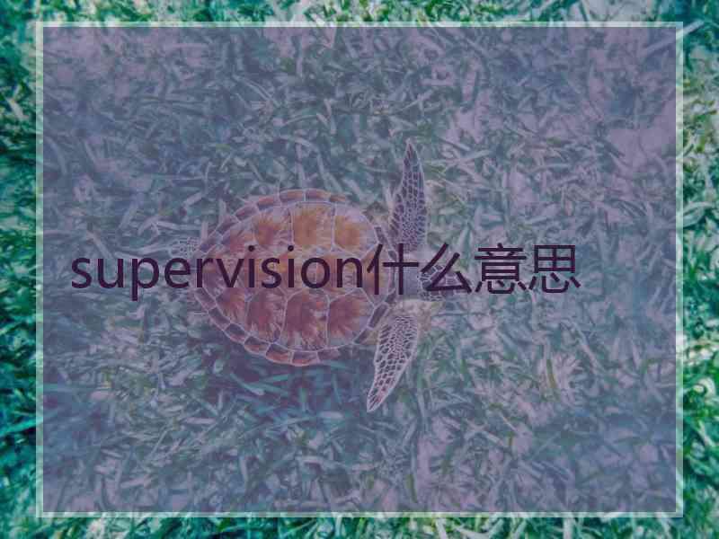 supervision什么意思