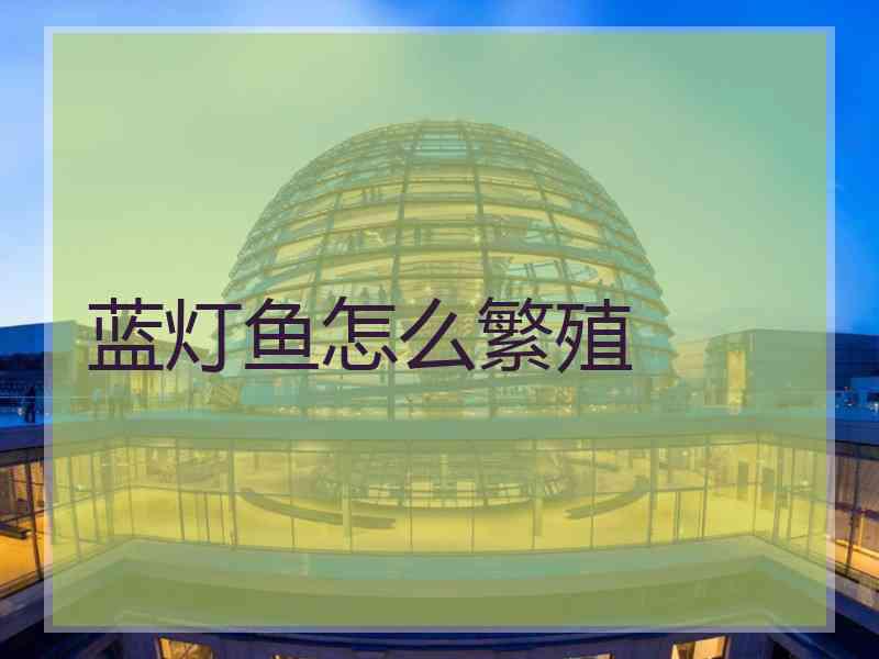 蓝灯鱼怎么繁殖