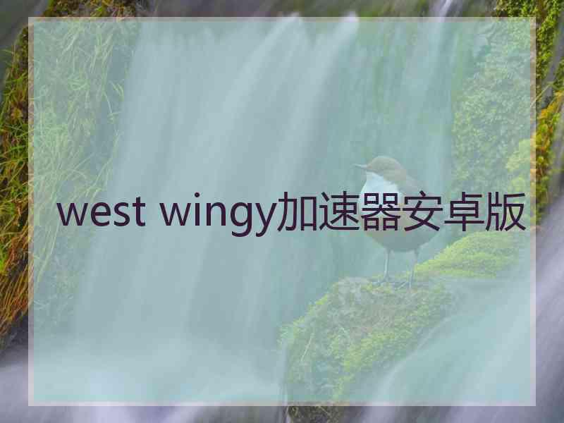 west wingy加速器安卓版