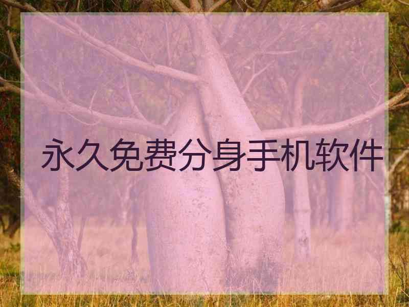 永久免费分身手机软件