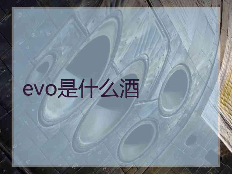 evo是什么酒