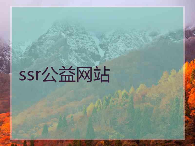 ssr公益网站