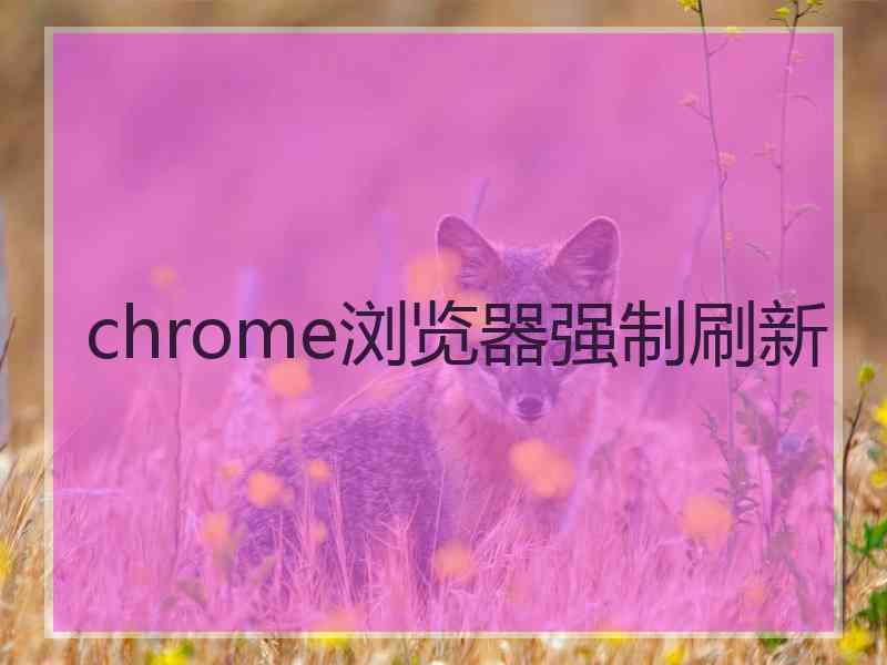 chrome浏览器强制刷新