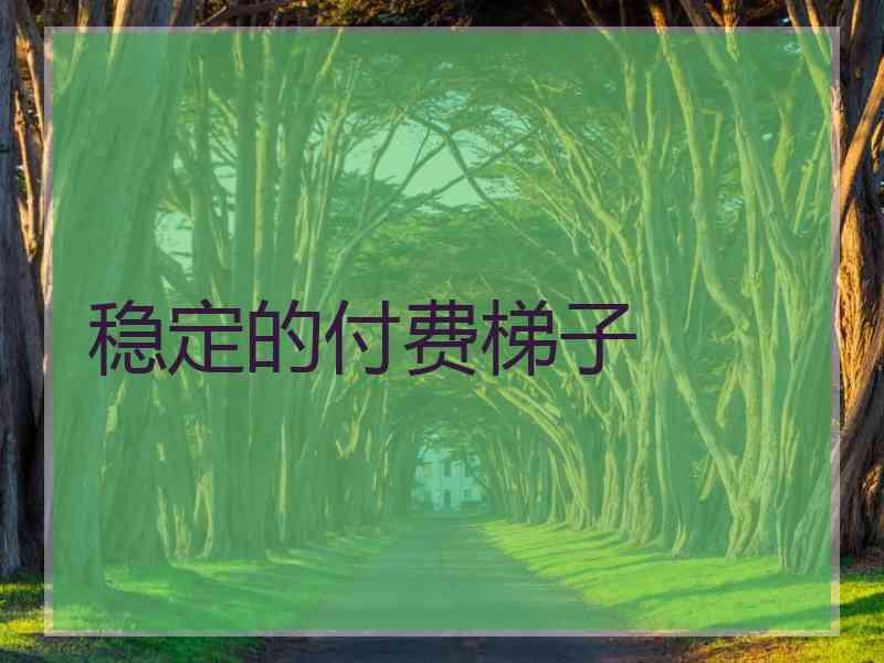 稳定的付费梯子