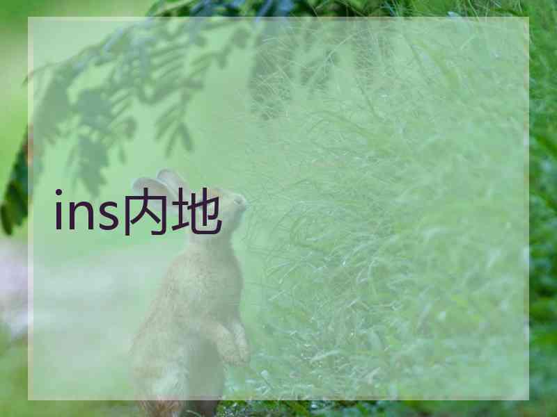 ins内地