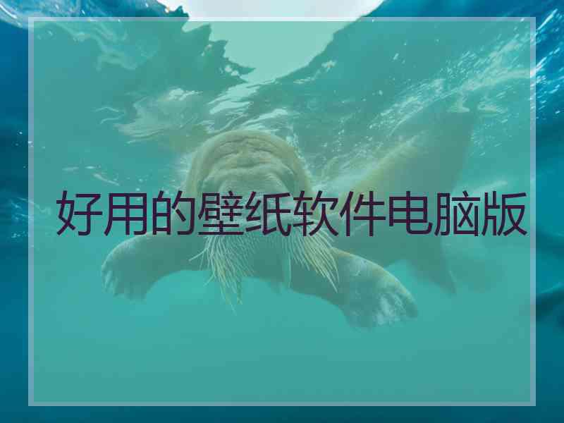 好用的壁纸软件电脑版