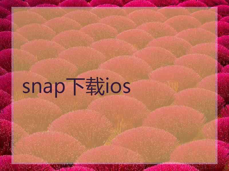 snap下载ios
