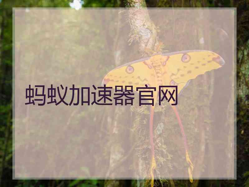 蚂蚁加速器官网