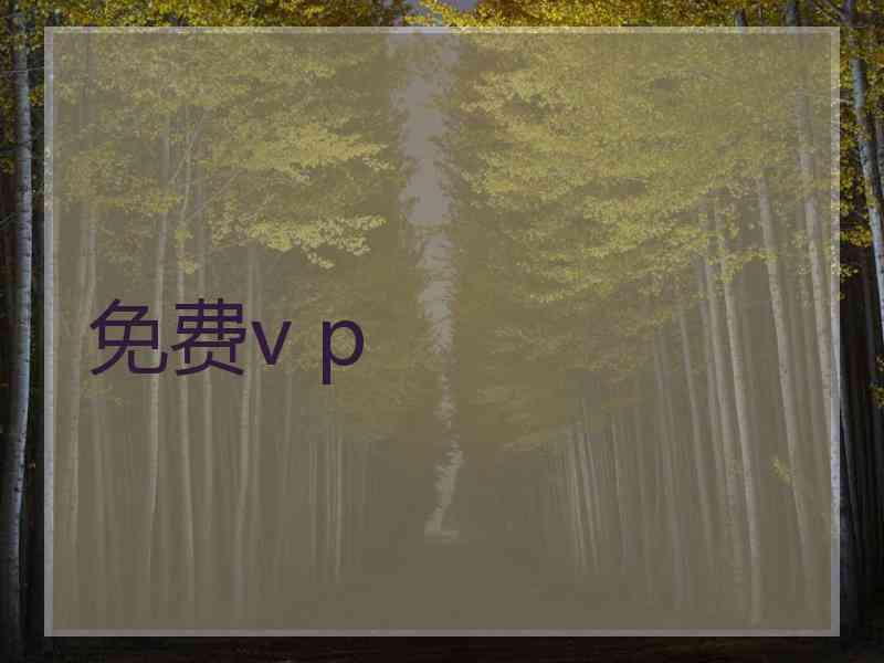 免费v p