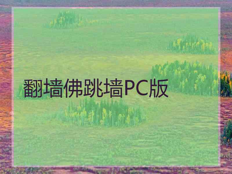 翻墙佛跳墙PC版