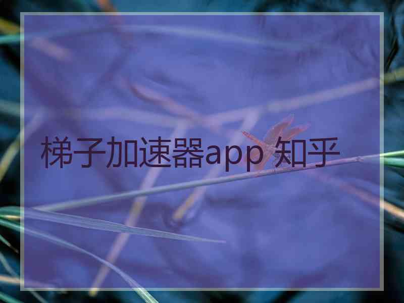 梯子加速器app 知乎