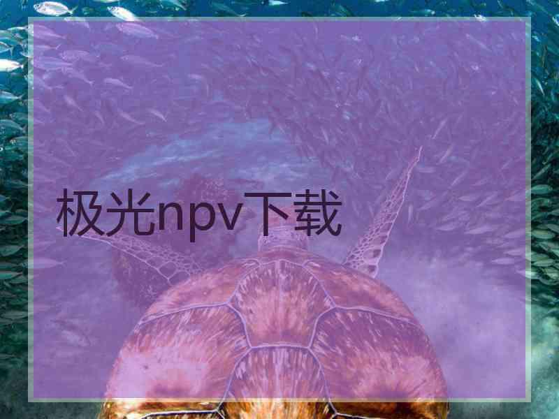 极光npv下载