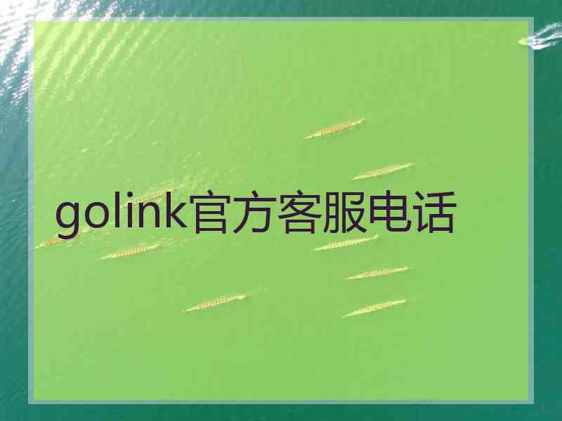 golink官方客服电话