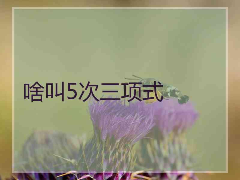 啥叫5次三项式