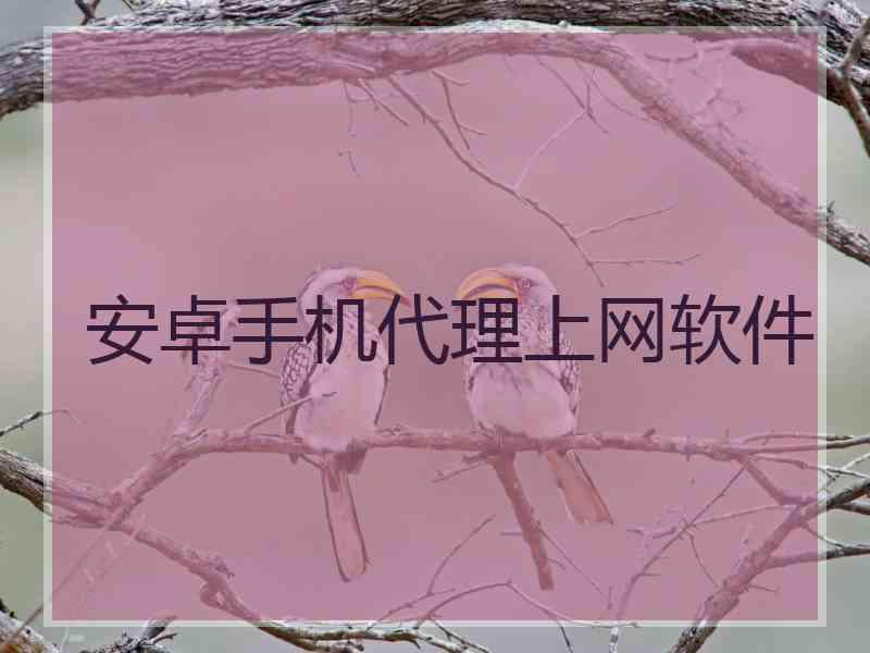 安卓手机代理上网软件