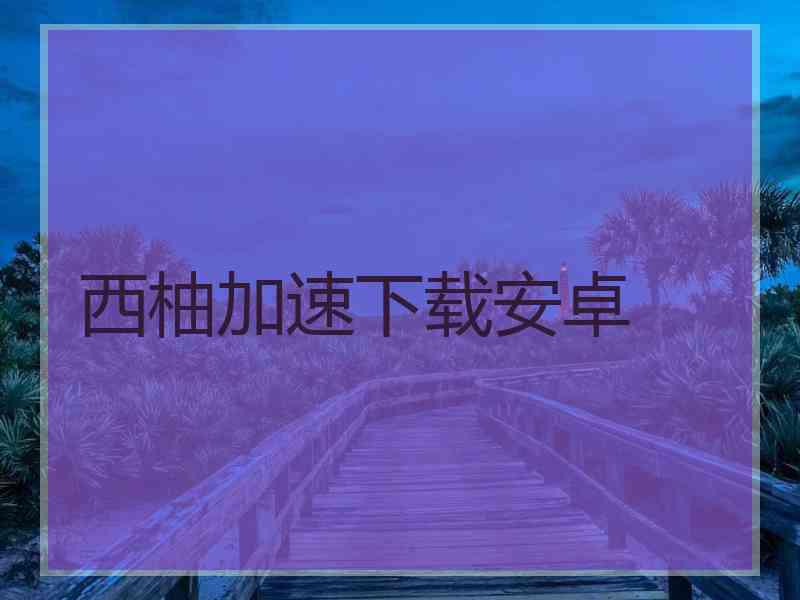 西柚加速下载安卓