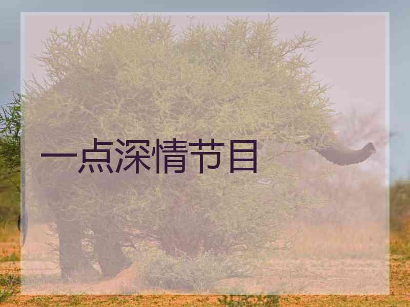 一点深情节目