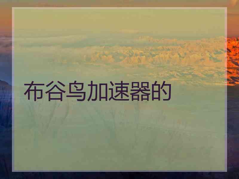 布谷鸟加速器的