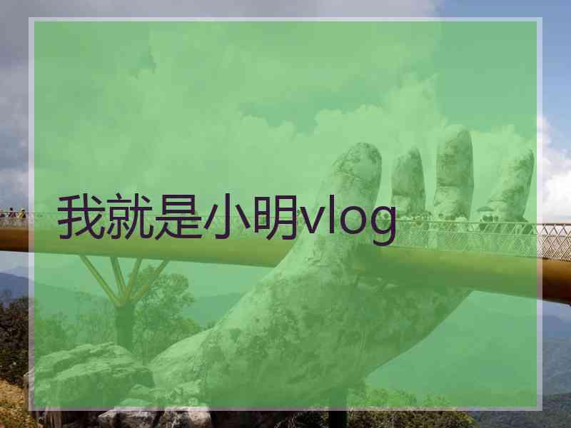 我就是小明vlog