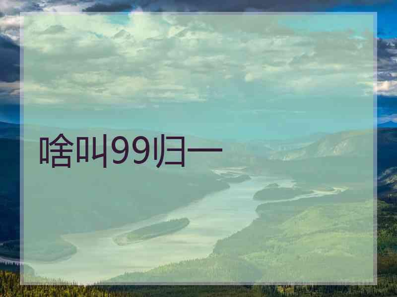 啥叫99归一