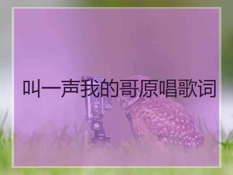 叫一声我的哥原唱歌词