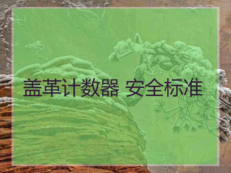 盖革计数器 安全标准