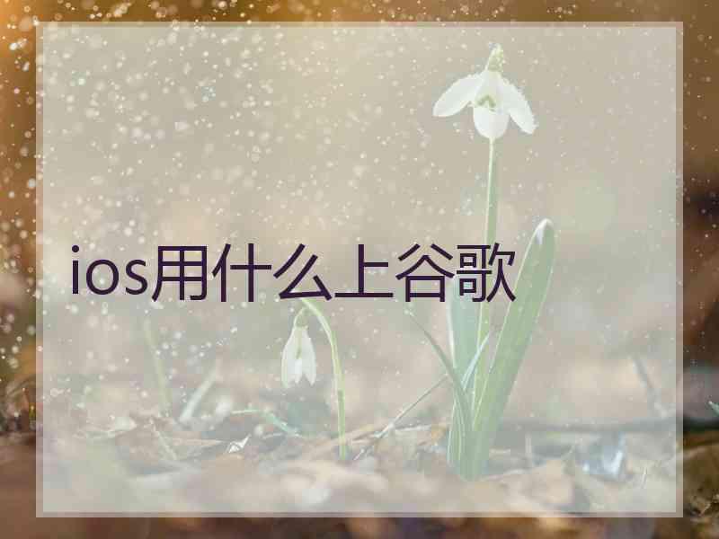 ios用什么上谷歌