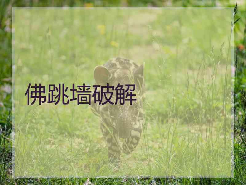 佛跳墙破解