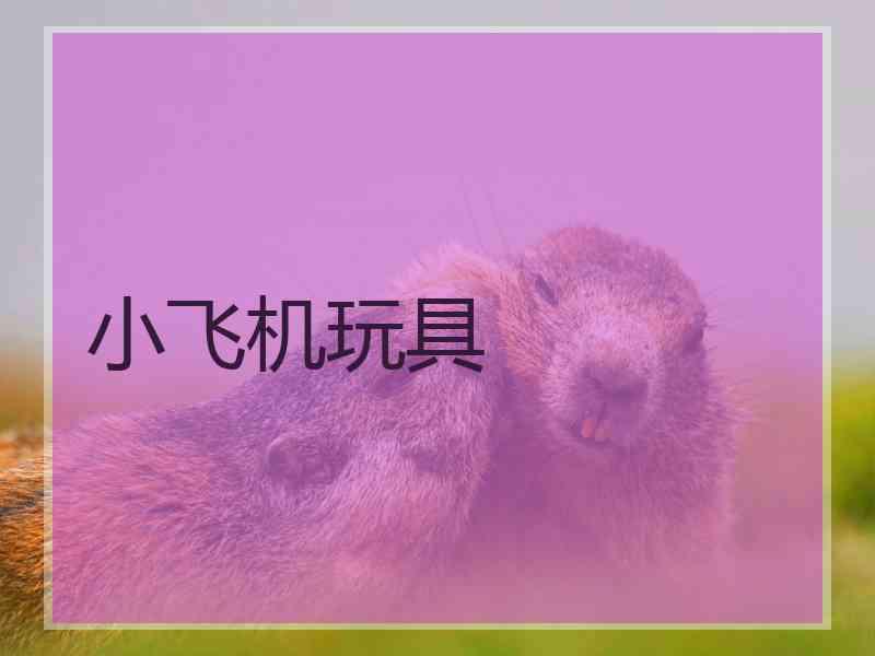 小飞机玩具