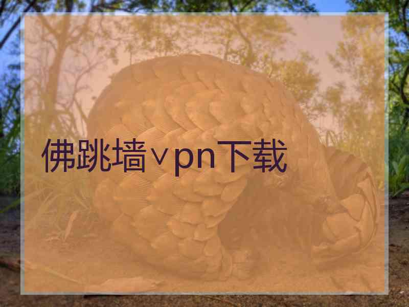 佛跳墙∨pn下载