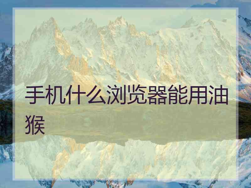 手机什么浏览器能用油猴