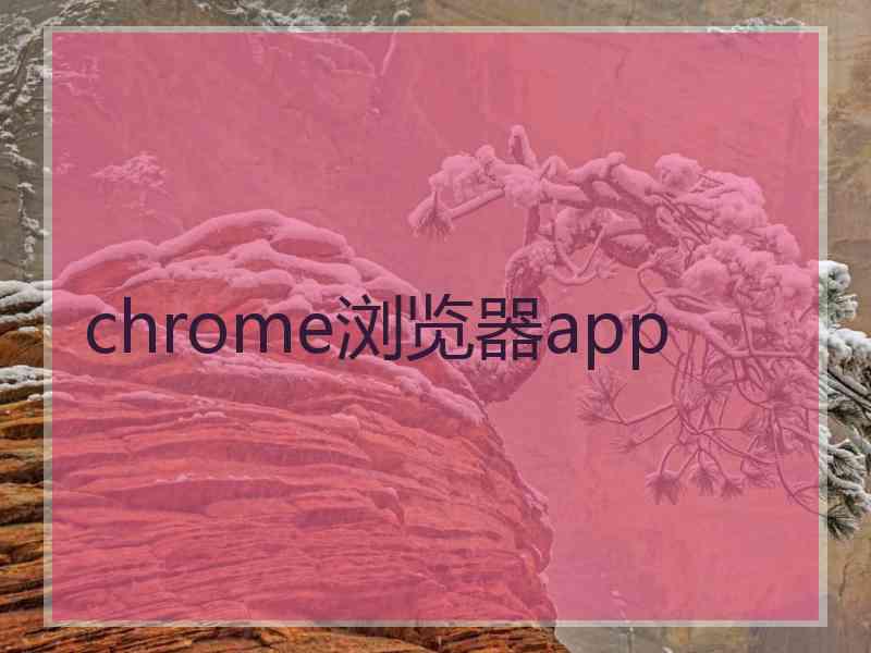 chrome浏览器app