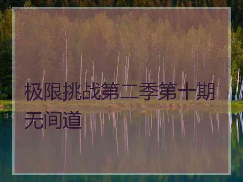 极限挑战第二季第十期无间道