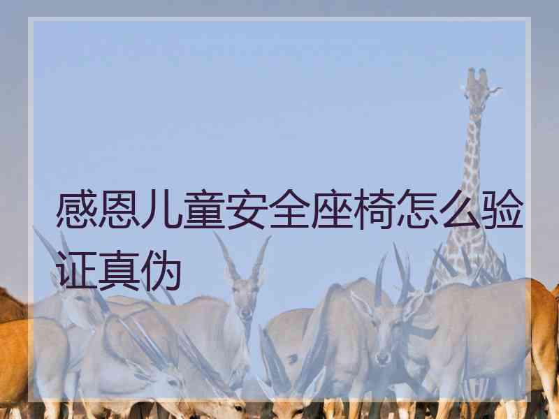 感恩儿童安全座椅怎么验证真伪