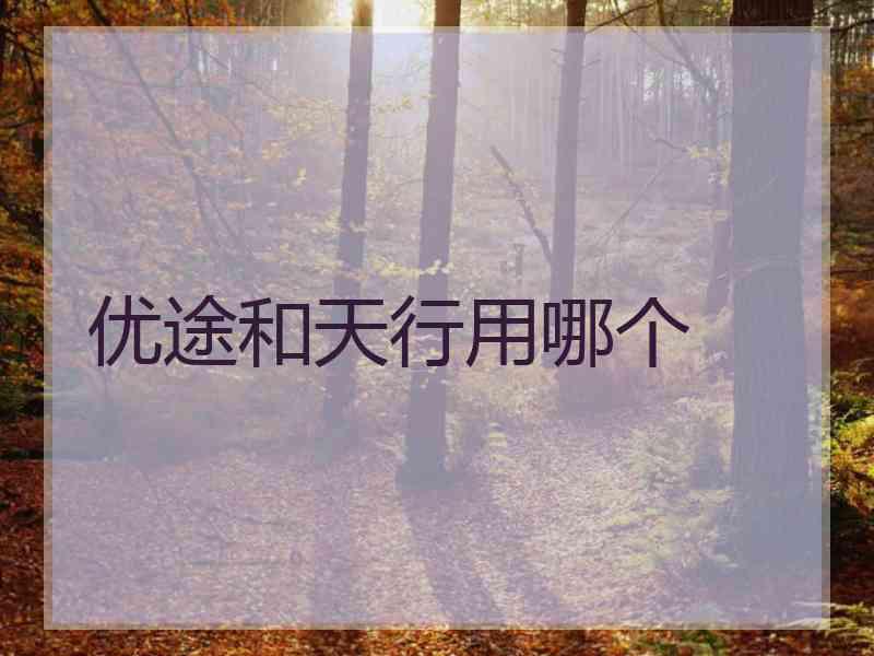 优途和天行用哪个