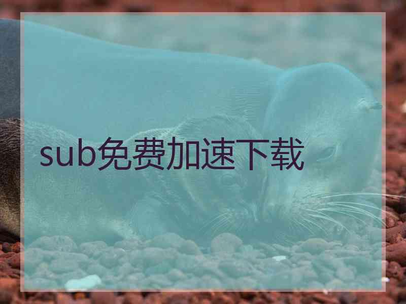 sub免费加速下载