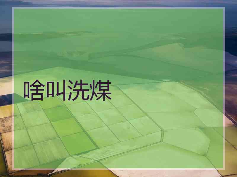 啥叫洗煤