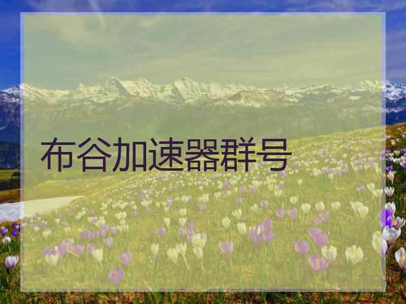 布谷加速器群号